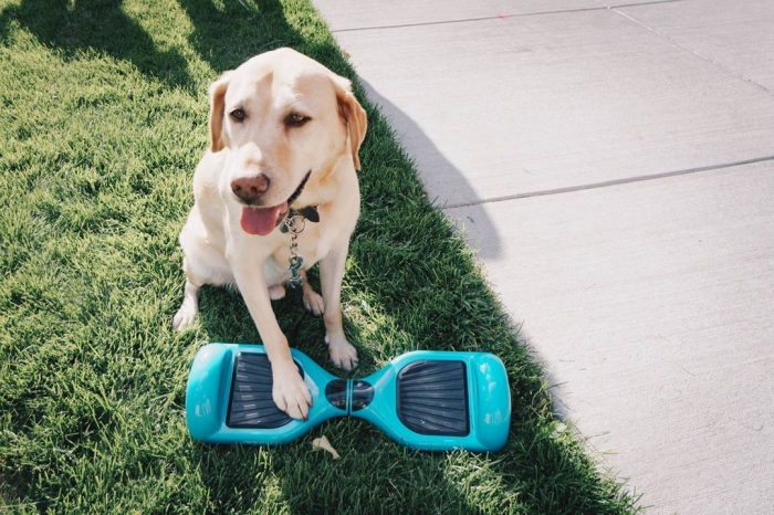 @ridegotrax Photo by GOTRAX on January 04, 2021.