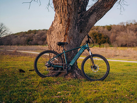 D1RT 电动山地自行车